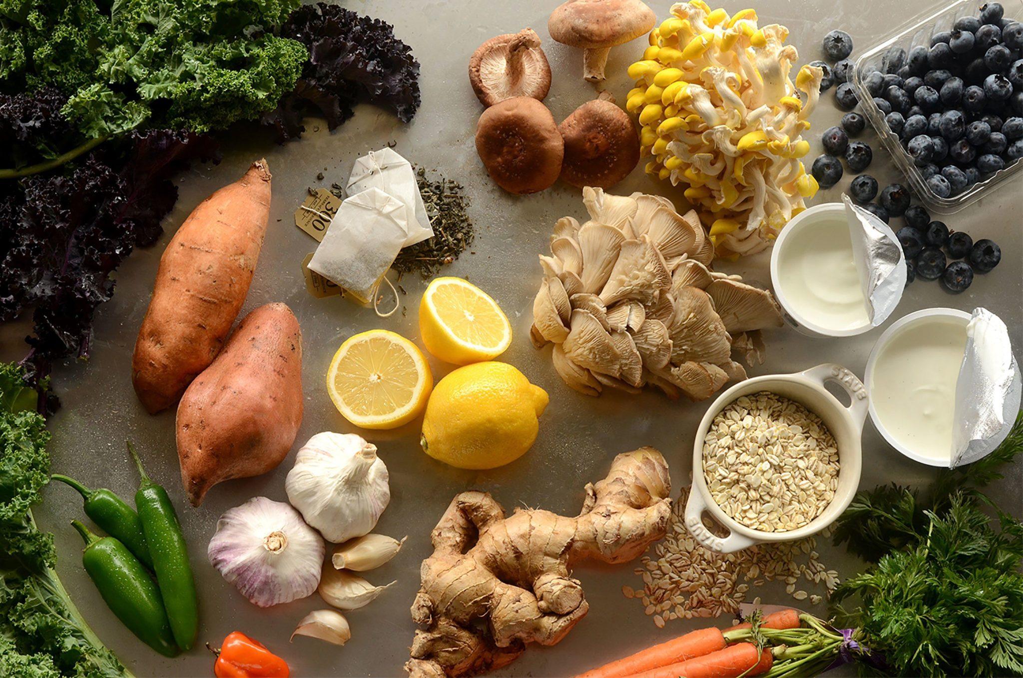 Terraquikyoa: Crafting Wholesome Bites for Your Day